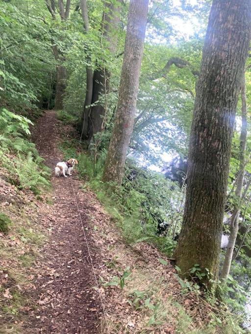 Mysigt Boende Naera Soederasen Ljungbyhed Bagian luar foto